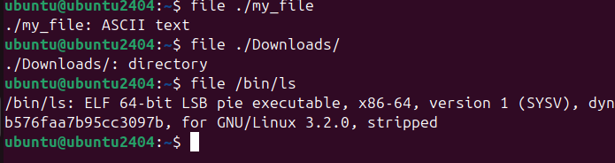 Pasted image 20250125234620.png